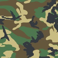 AAA AAA