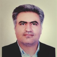 Majid Iranpour Mobarakeh