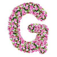 GEETHA B