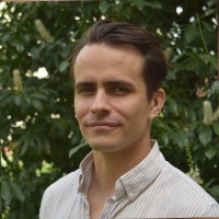 Johannes David