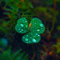 王群伟
