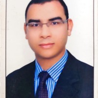 Sayed Abdelaal Elsayed Masoud