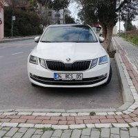 mehmet ali aşkın