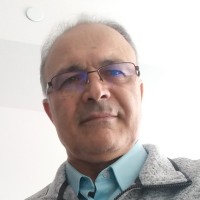 Hassan S. Ghaziasgar