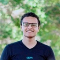 Amr Essam