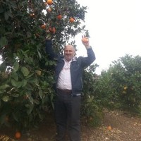 mevlüt aslan