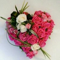 Suresh Ggg