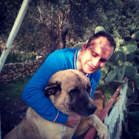 Mehmet Ali GULTEKİN