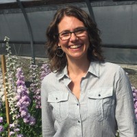 Julie Stultz Fine