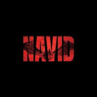 Navid Ramezani