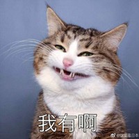 孙伟利