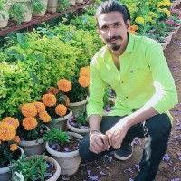 Amalraj Eyeraise