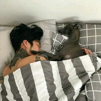 赵银庆