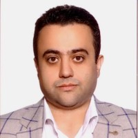 AMIR SAEDI FIROOZ SALARI