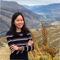 Jesley Zheng