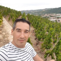 Fabien Delputte