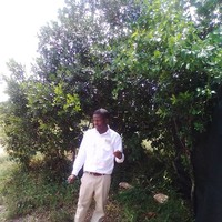 David Agagwa
