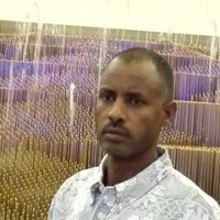Hussein Elnour