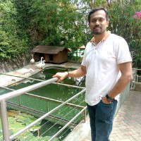 RaviKumar Kabbalaiah