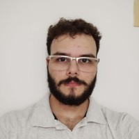 Pedro Henrique Tavares