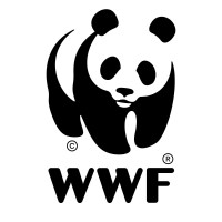 Wwf - Paraguay