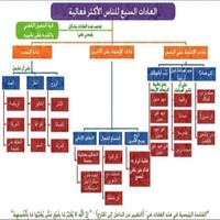 Sultan Alshamsi
