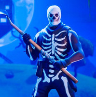 Ninja Lost