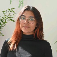 Maria Fernanda Cortes