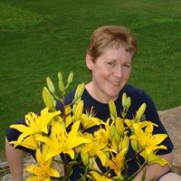 Lori Ann Maggs