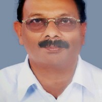 Sreekumar Narayanan