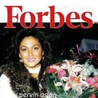 Pervin Aslan Ceo