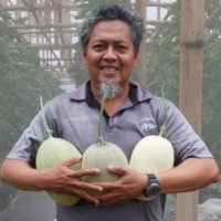 Afandi Mardani