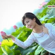 nguyenlan nguyenlan