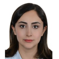 Dorrin Rouzbahani