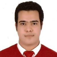 Mostafa Hassan Ali