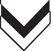 Visby Vision