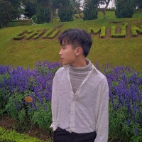 Hoang Trinh