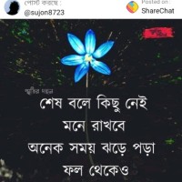 Md. Arif