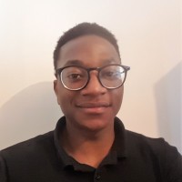 Dr. Anesu Nyabadza, (Phd)