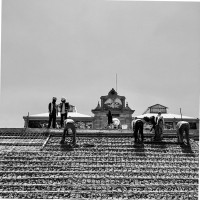 Sergio Gutierrez Varela