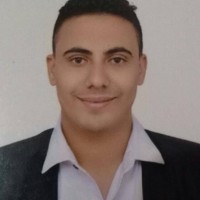 Sayed Ali Elsayed