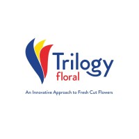 Trilogy Floral