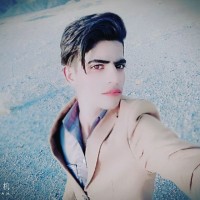 امین شه بخش