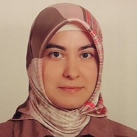 Yeliz Aktay Aygün