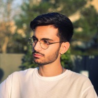 Hesam Mirzaei