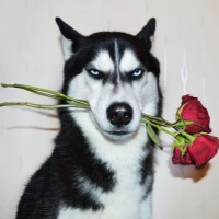 Công Đinh Đăng Công