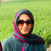 Samia Naeem