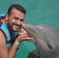 Wael Farhan
