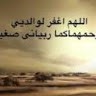 Nofal Alhamadi