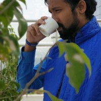 Mitesh Waghela